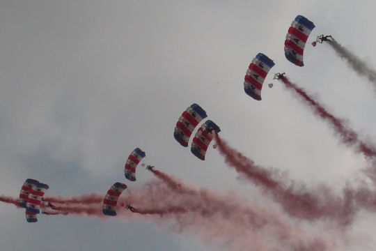 The Falcons at the Annual Show