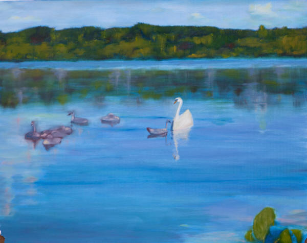 Swan with cygnets on Loch Lomond