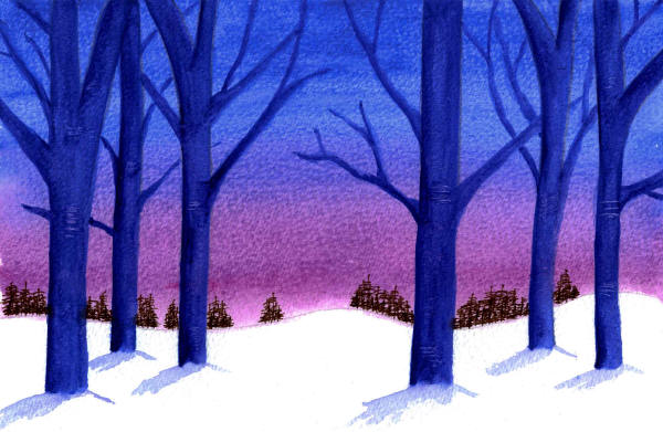 Winter silhouettes