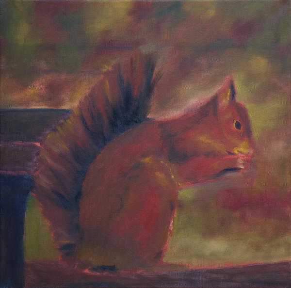 Red Squirrel